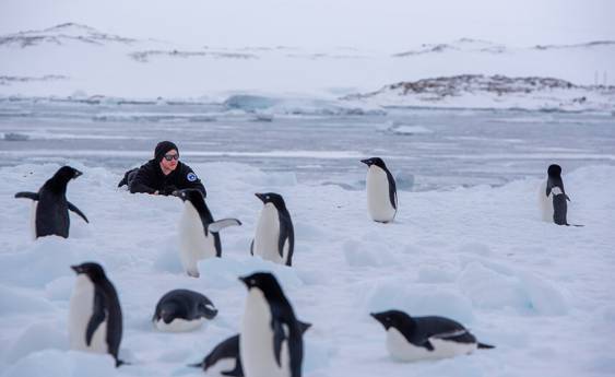 An Antarctic experience like no other
